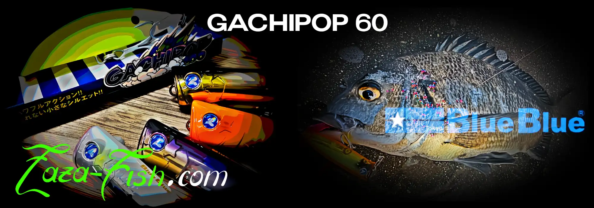 Fabrication artisanale japonaise du GACHIPOP 60 BlueBlue avec finitions premium