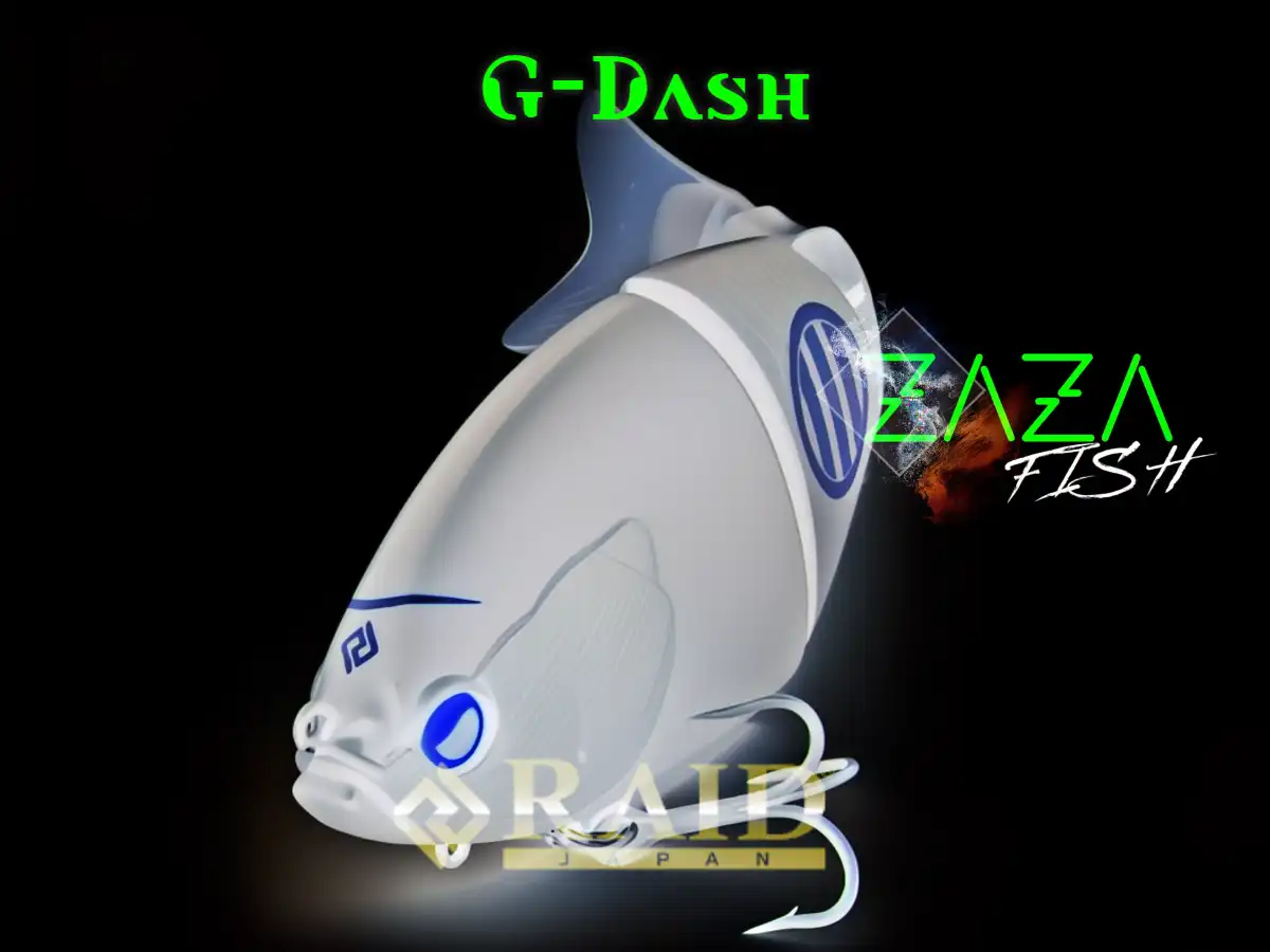 Action du Raid Japan G-Dash juste sous la surface