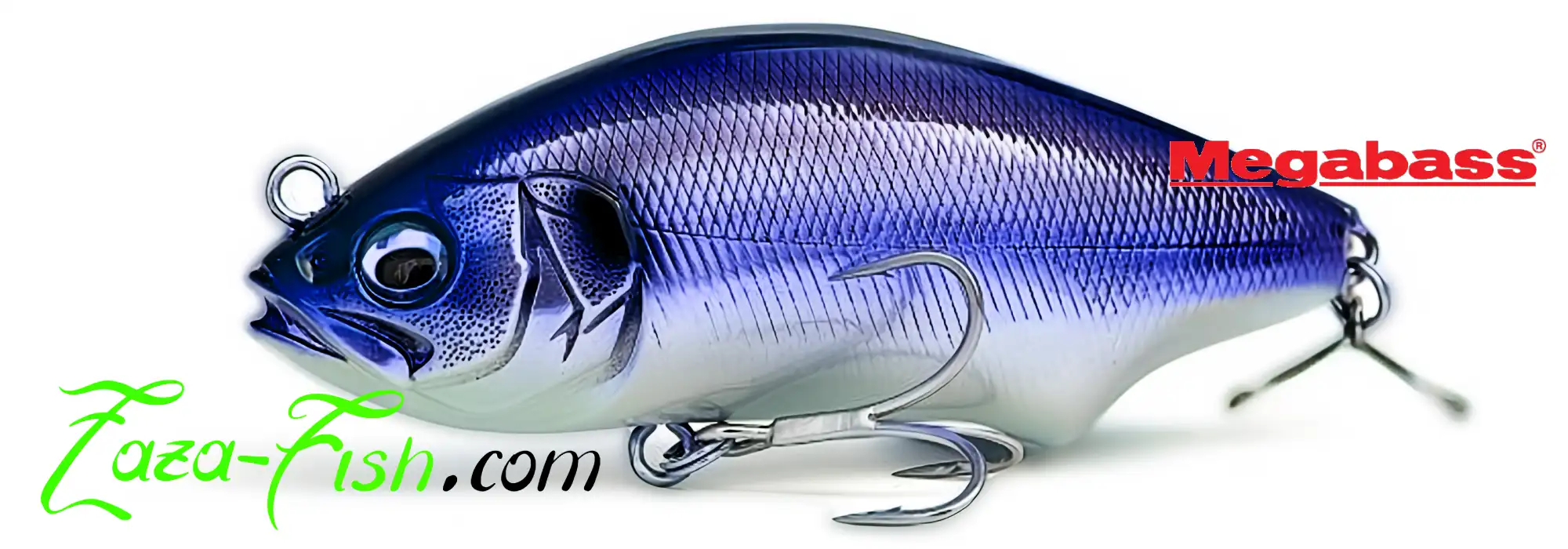 Megabass HADARA TRAP – Le Pencil Coulant de Référence