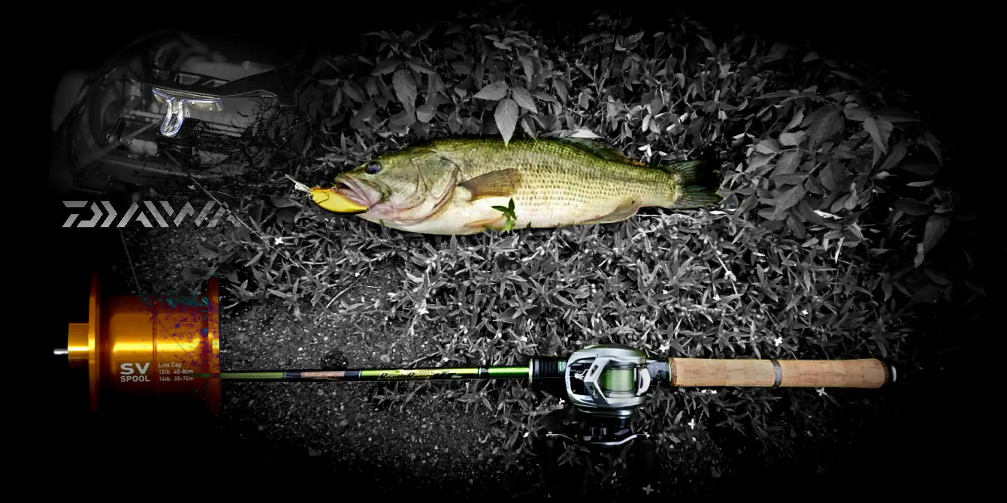 Moulinet casting DAIWA ALPHAS SV TW 800S-XH (2022) avec récupération Extra High Gear