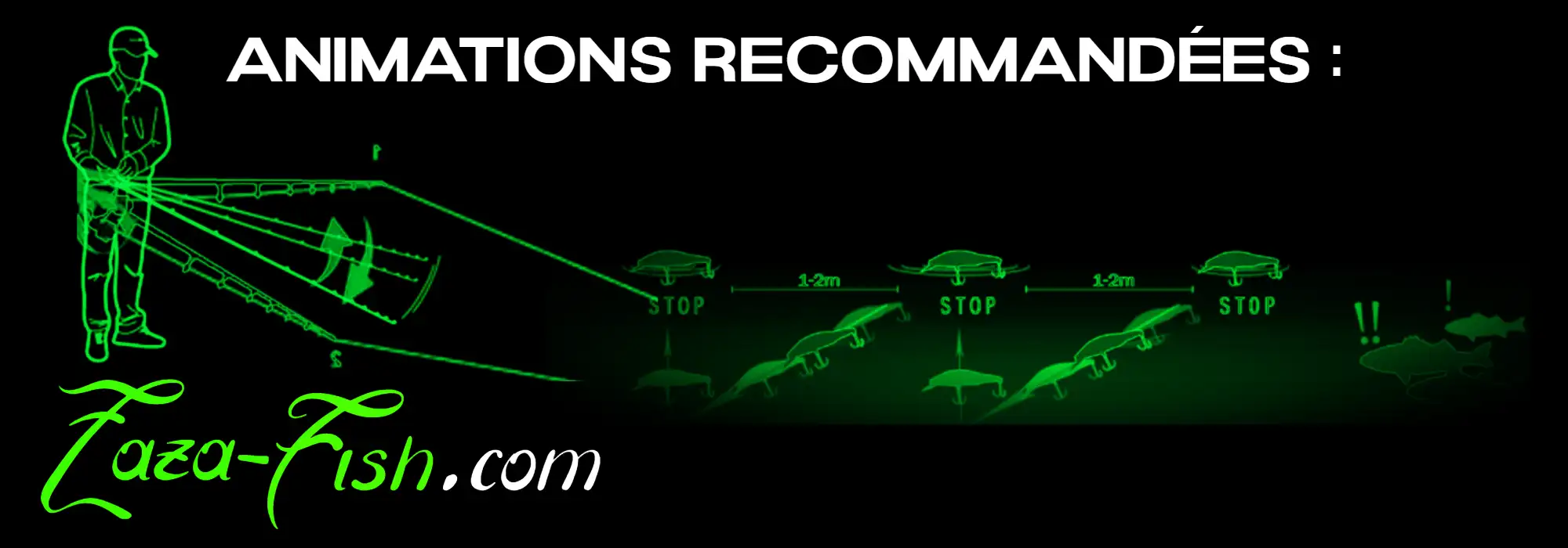 Techniques d'animation recommandées pour le leurre GAN CRAFT AYRTON 63 MR