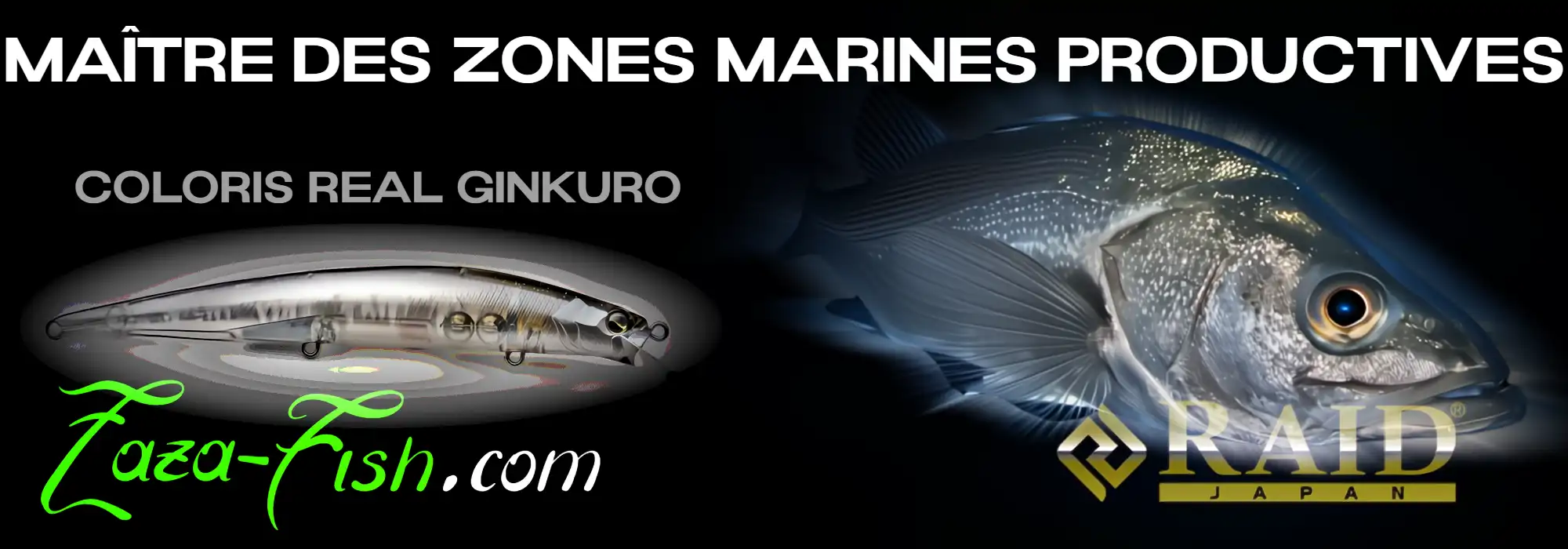 Pêche nocturne en port avec le LEVEL MINNOW en coloris REAL GINKURO