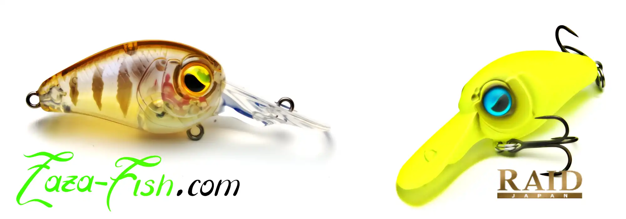 "Zazafish présentant une belle perche capturée avec le mini LEVEL CRANK PING lors d'un guidage&