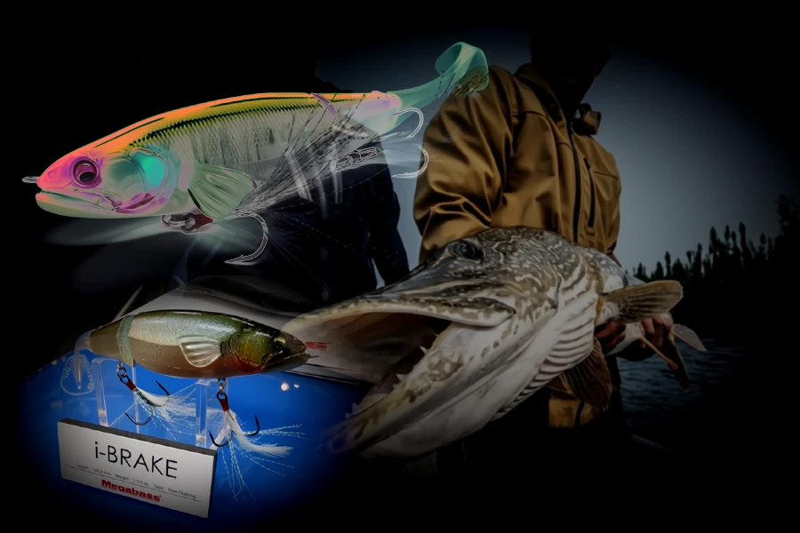 Grand brochet automne turnover pêché I-BRAKE carnassier éduqué