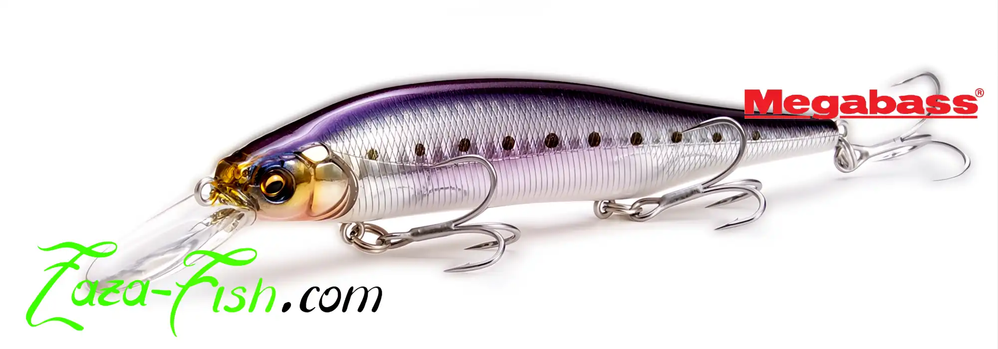 MEGABASS X-80 MAGNUM +1 vue general