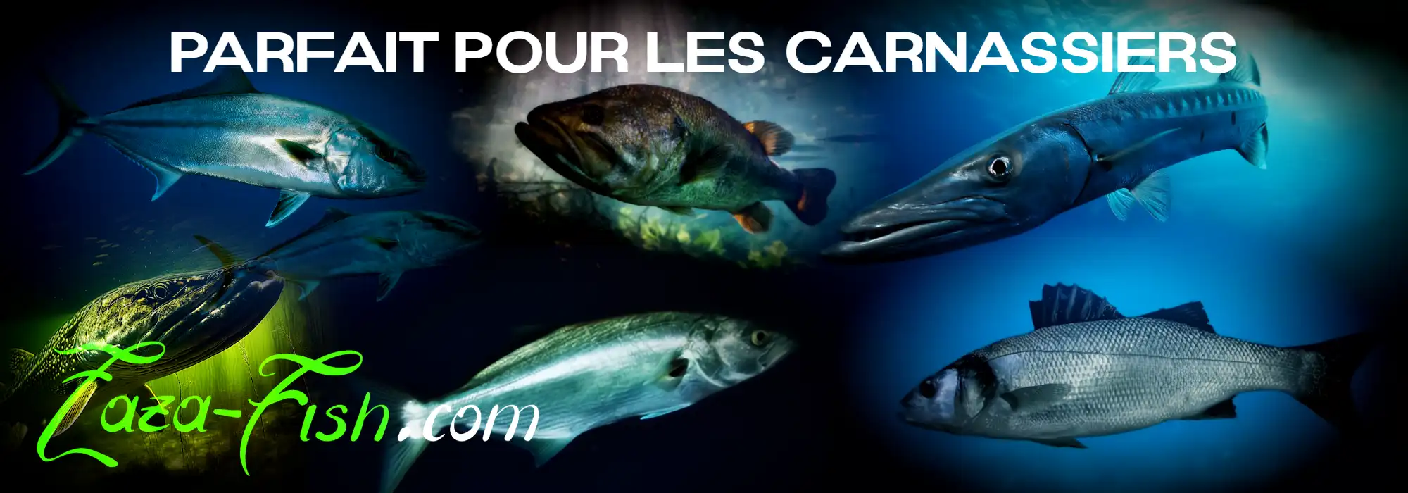 Leurre DUO Fangjaw 110 – Idéal pour la pêche du bar, tassergal, brochet et aspe