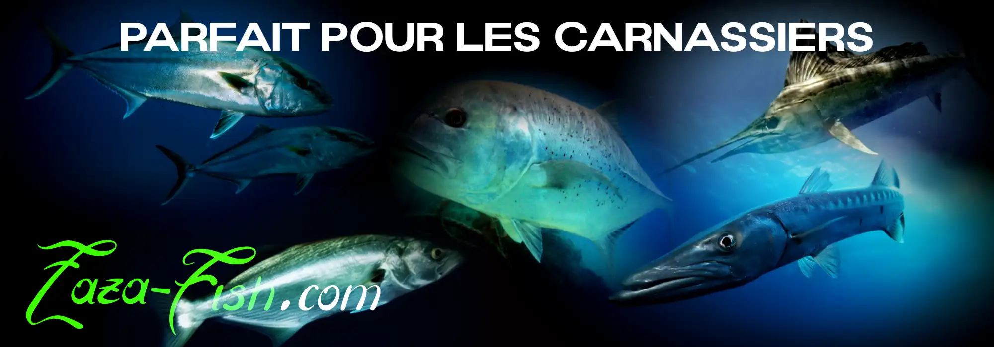 Poissons ciblés par le BlueBlue SNECON 180S