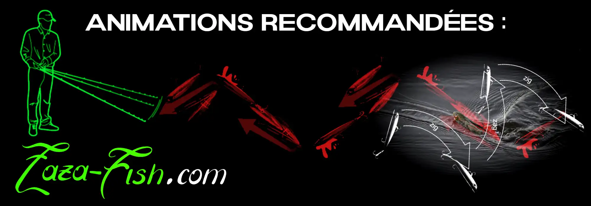 Techniques d'animation du SNECON 50S illustrées par des séquences de mouvements