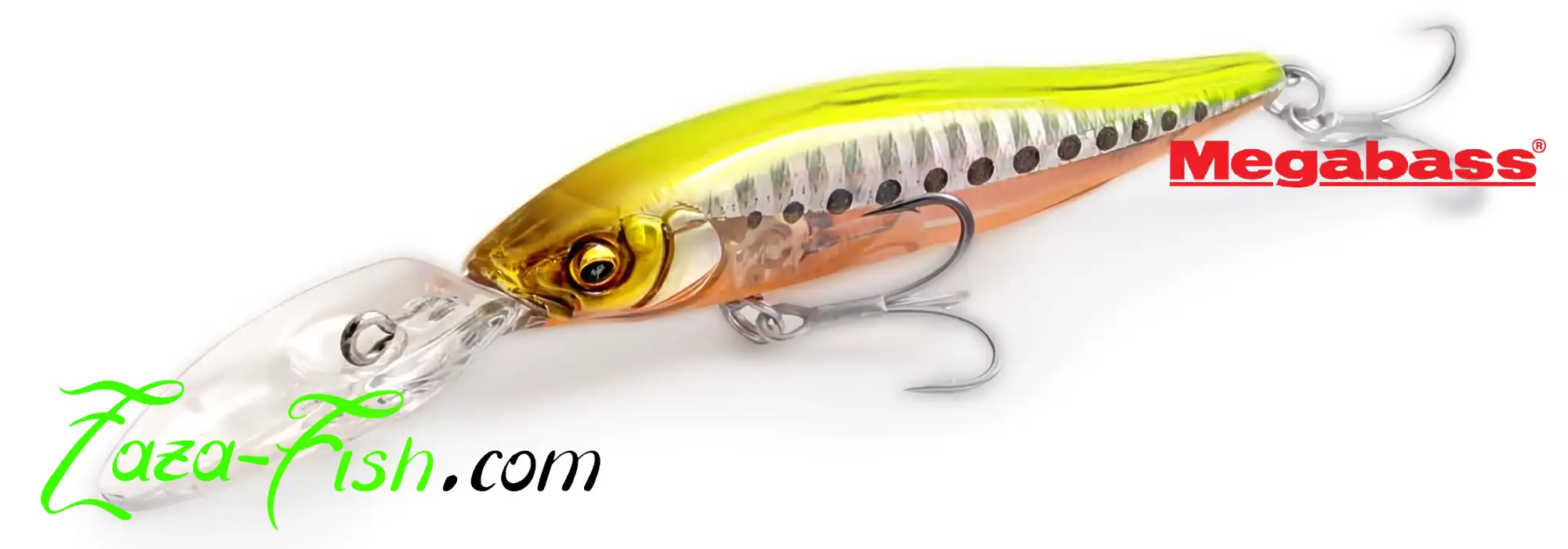 Megabass X-NANAHAN+2 SW vue general