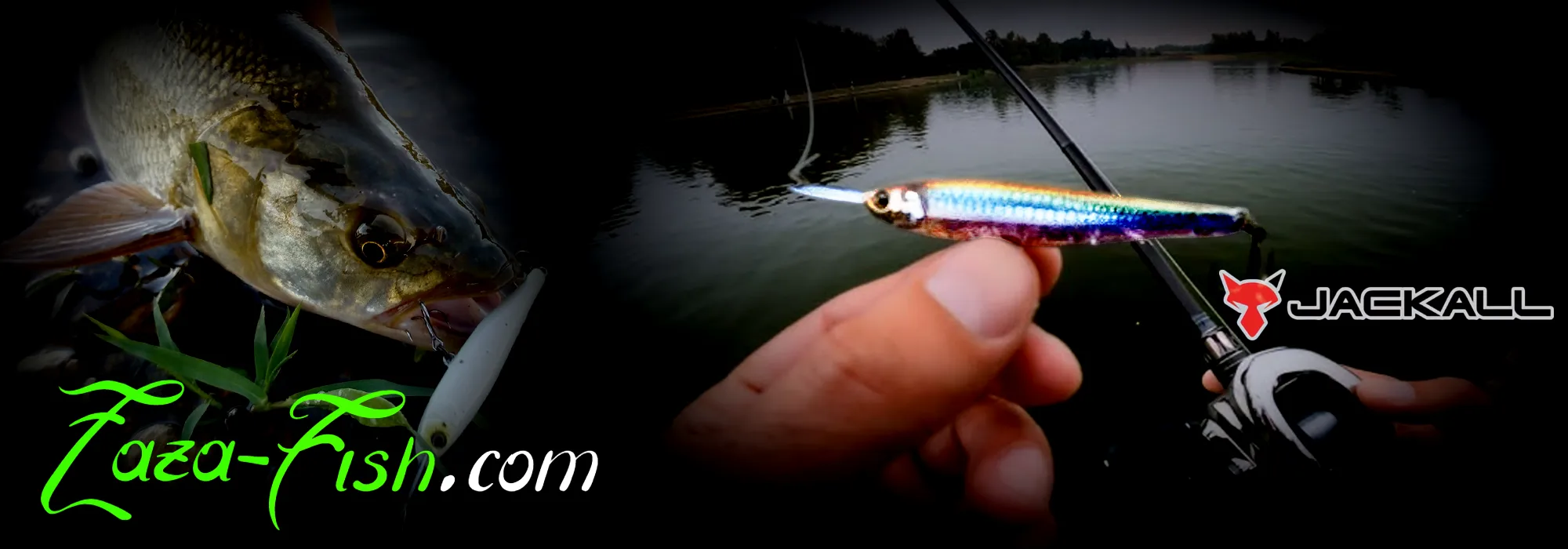 Animation topwater Riser Bait 007R - technique boil targeting et structure fishing bass