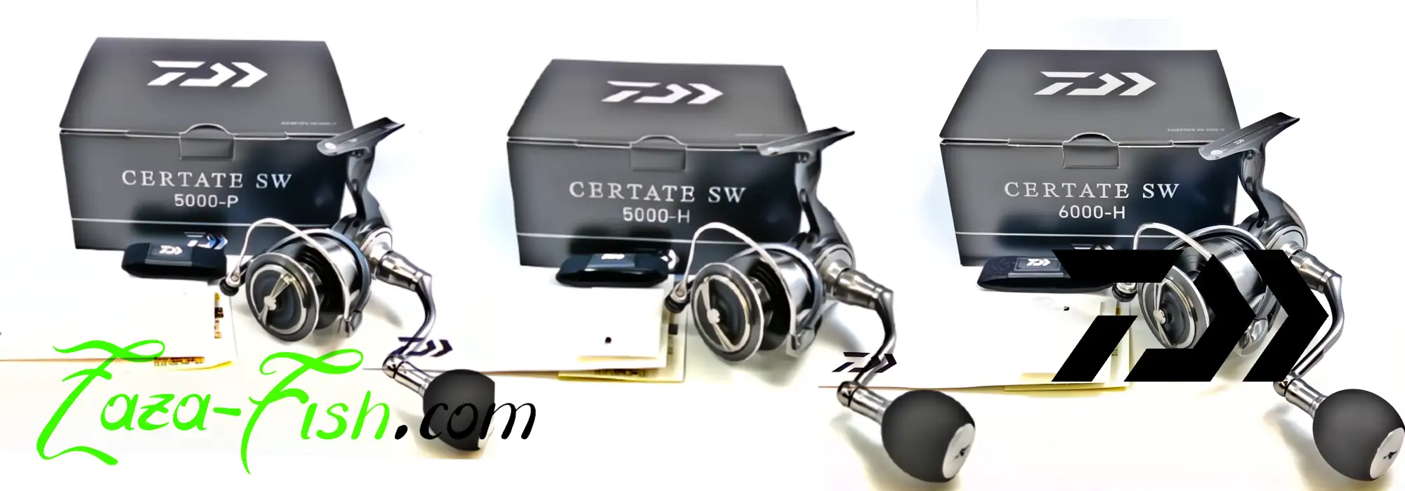 Comparaison visuelle des différentes versions de la gamme CERTATE SW 2024
