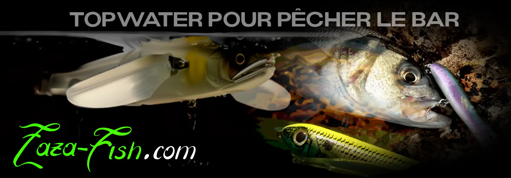 Pêcheur capturant un bar en surface avec un leurre topwater