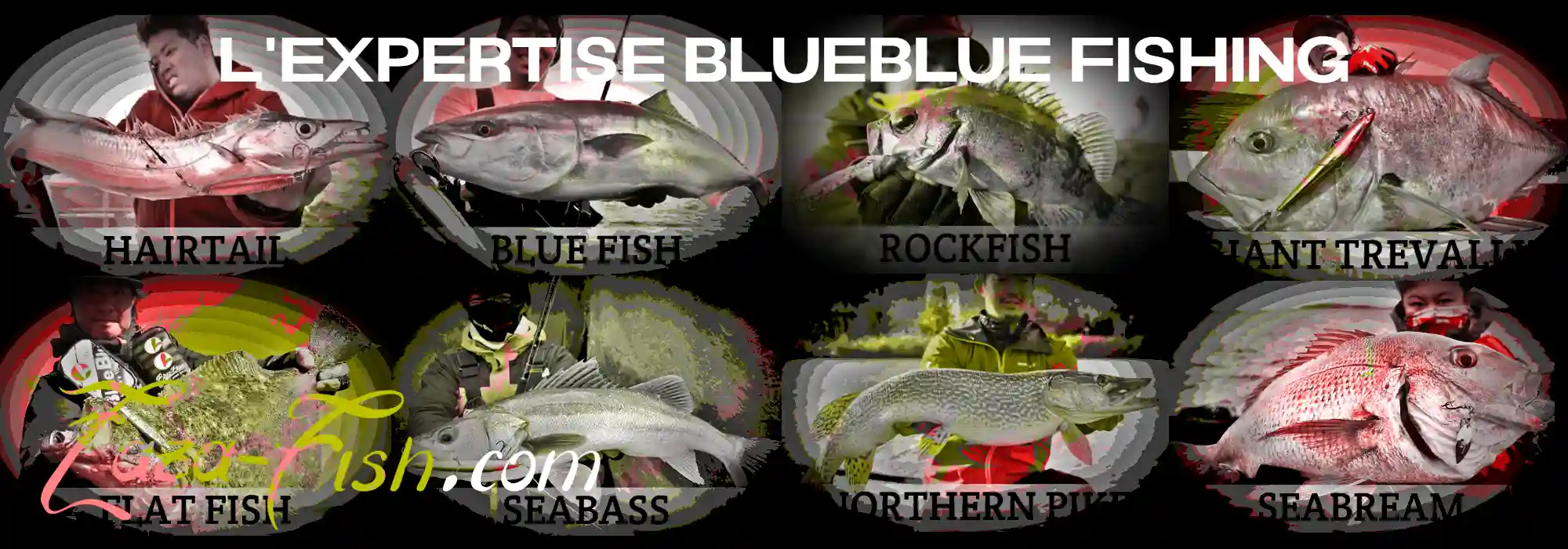 L'héritage japonais BlueBlue Fishing - tradition et innovation dans la pêche sportive