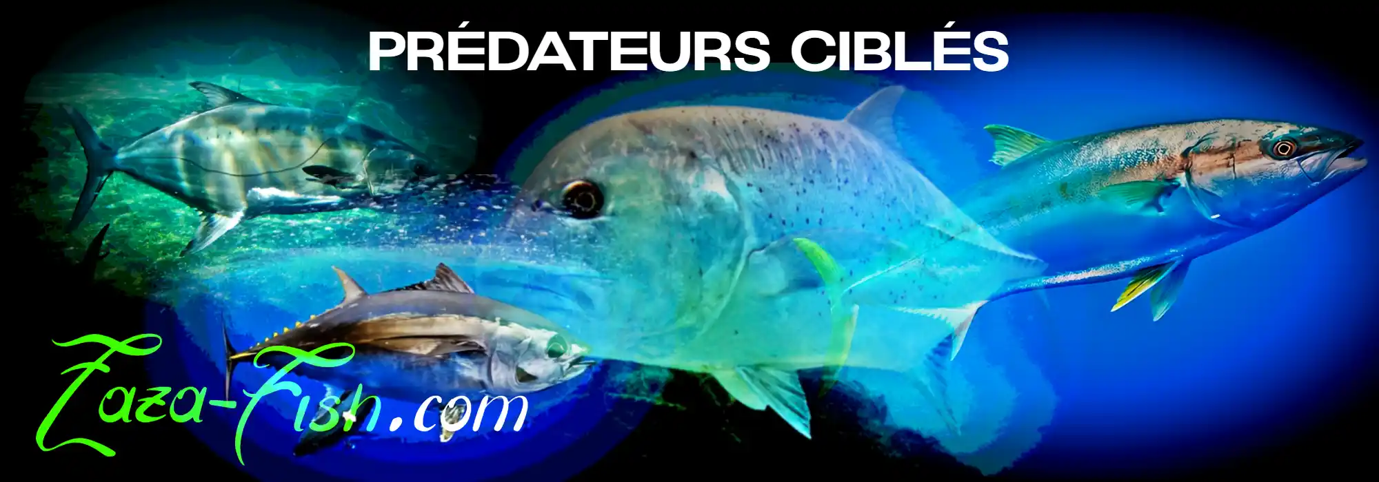 Giant Trevally, sérioles et thons - prédateurs ciblés par le GACHIPEN 200 BlueBlue