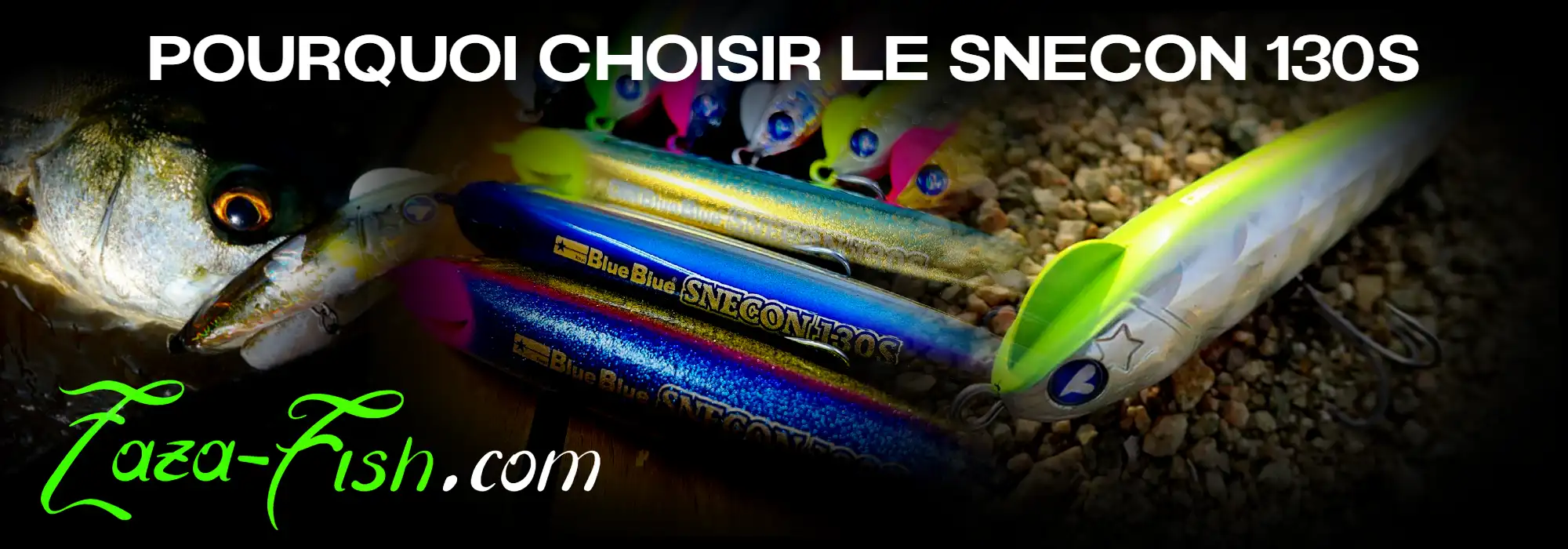 Avantages du BlueBlue SNECON 130S