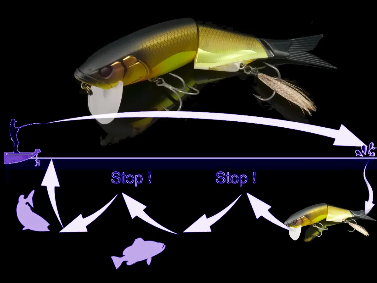 Animation technique stop go Maekon SF pinpoint luring structures carnassier