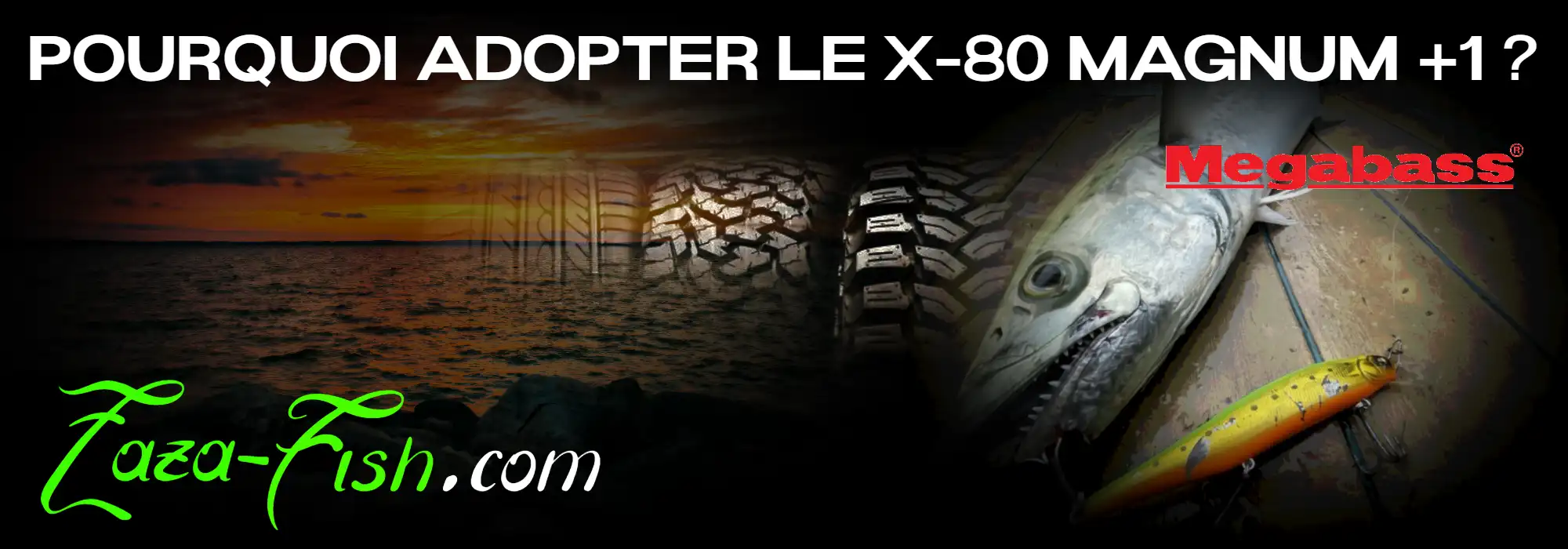 Le X-80 MAGNUM +1 utilisé pour la prospection des zones profondes