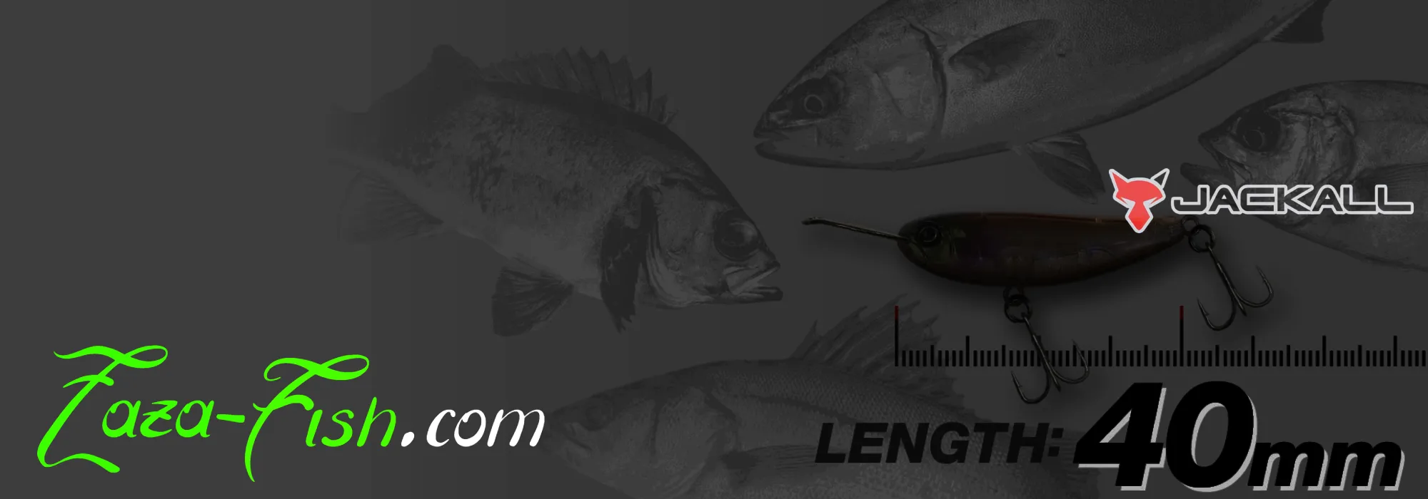 Spécifications techniques Riser Bait 004 - dimensions 40mm 5.6g light game finesse
