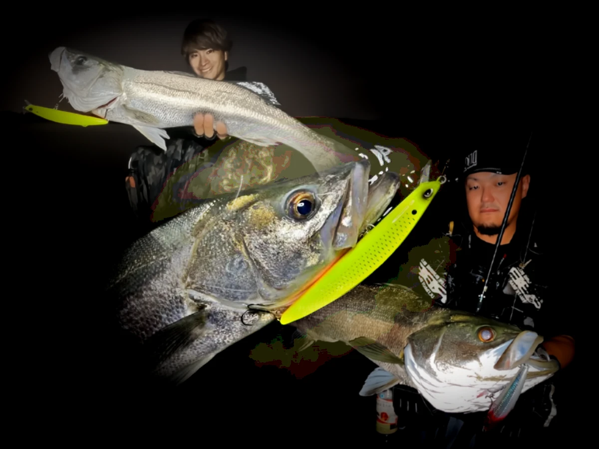 Bar loup capturé Tide Minnow GHOST shallow carnassier