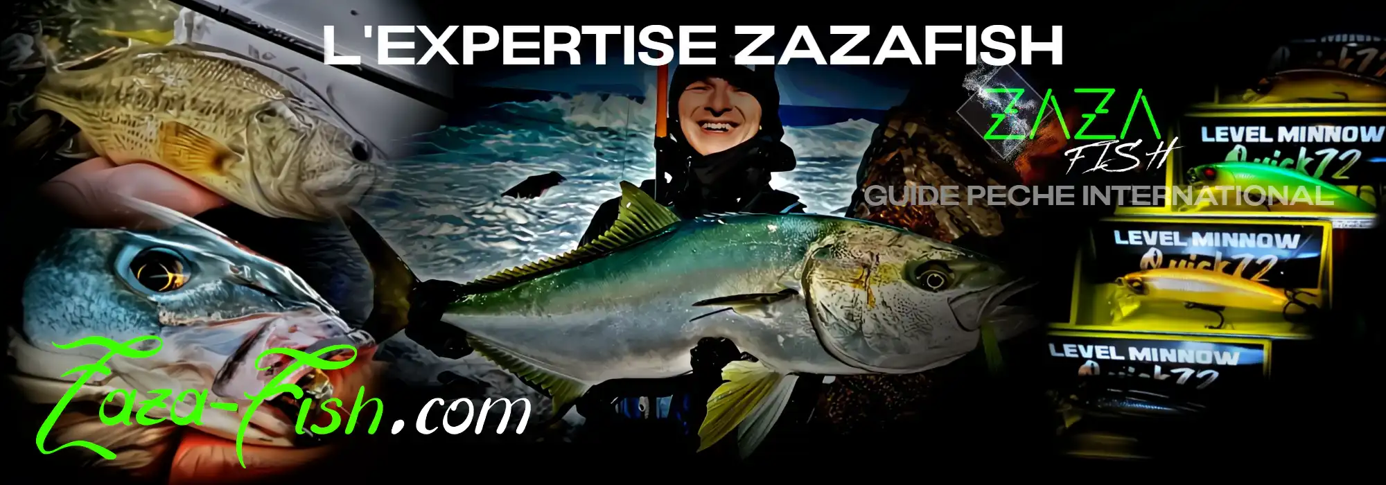 Guide Zazafish démontrant les animations recommandées avec le LEVEL MINNOW Quick 72