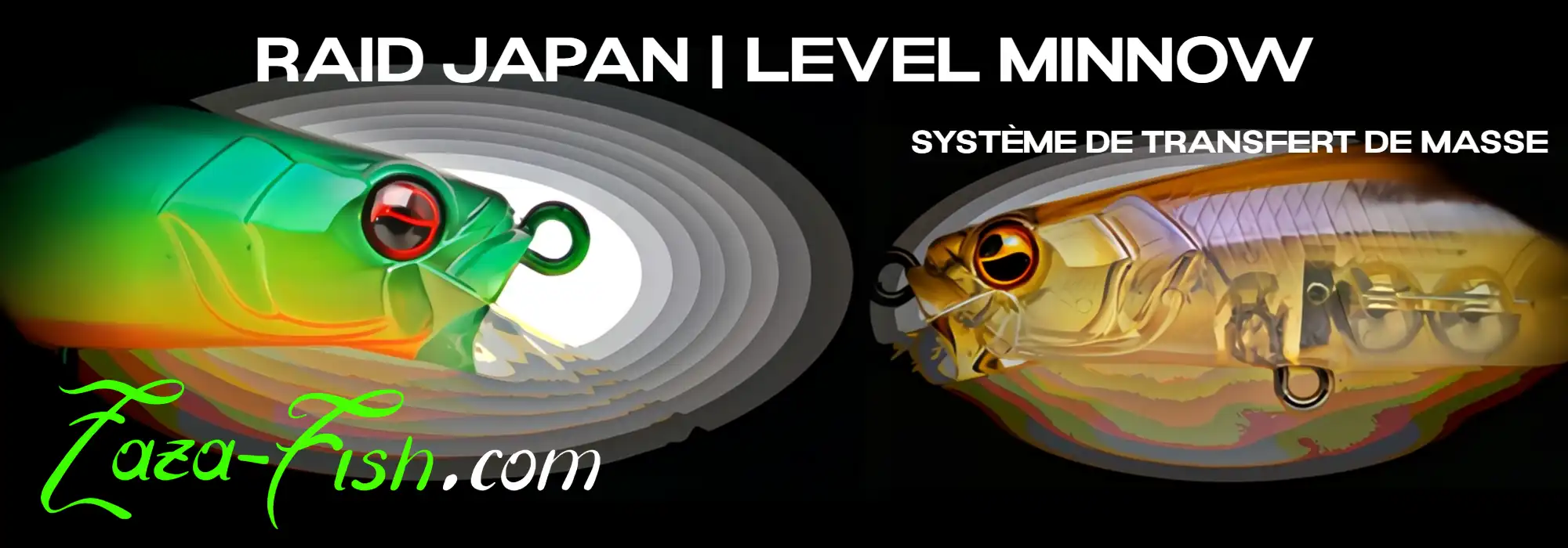 Schéma technique du système de transfert magnétique du LEVEL MINNOW RAID JAPAN