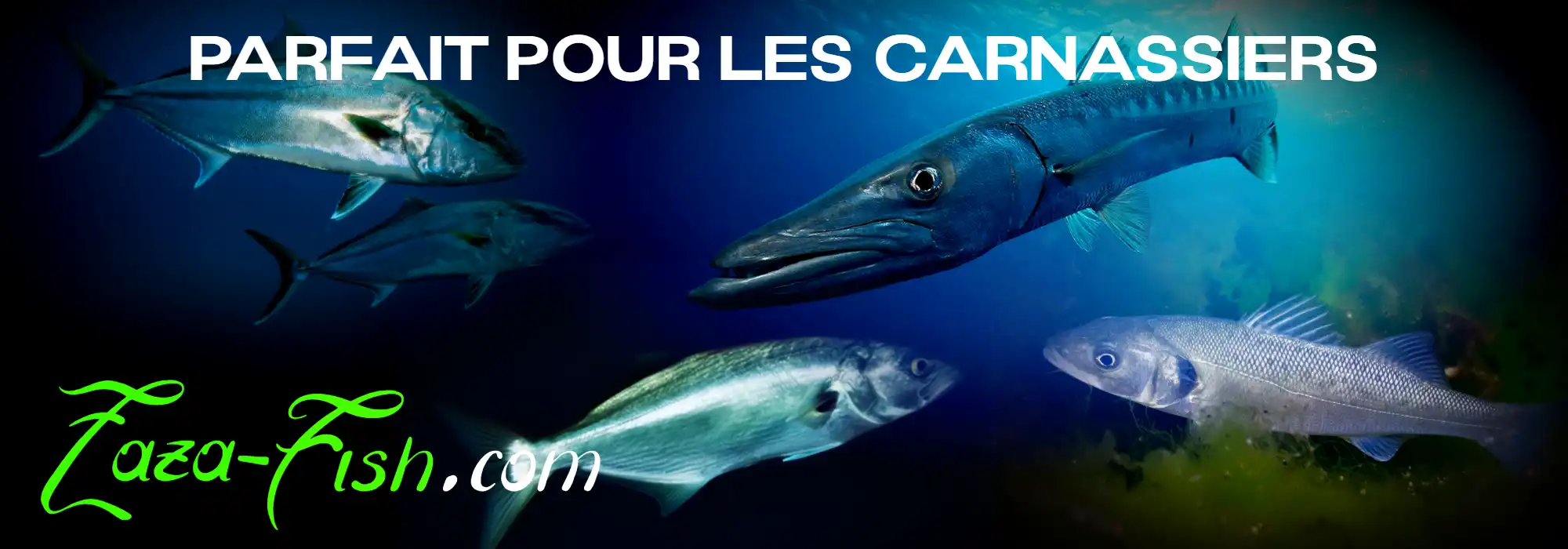 Poissons ciblés par le BlueBlue SNECON 130S