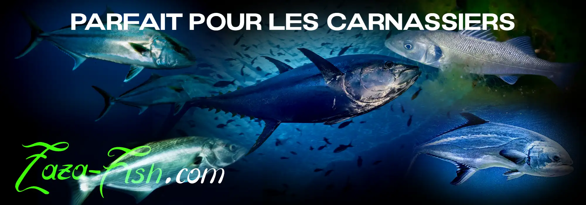 Poissons ciblés par le BlueBlue SNECON 150S