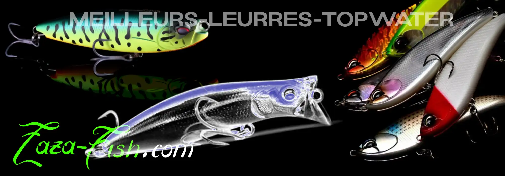 Sélection des leurres topwater les plus efficaces pour la pêche du bar