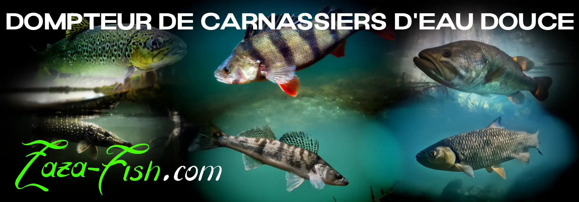 Les carnassiers d'eau douce ciblés efficacement par le LEVEL SHAD Sprinter 68SR
