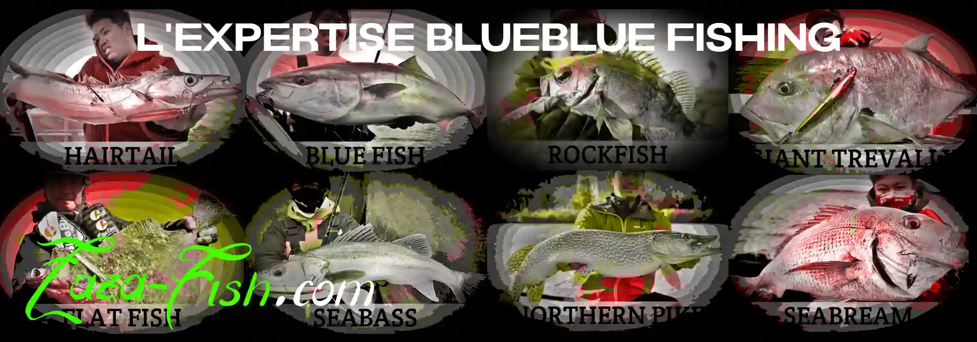 L'héritage japonais BlueBlue Fishing - tradition et innovation dans la pêche sportive