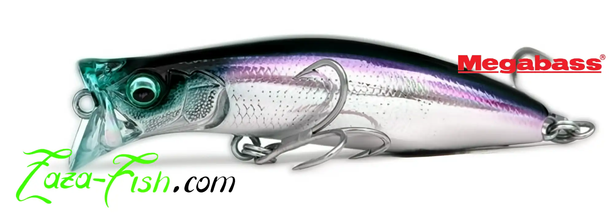 Vue du Megabass KIRINJI 70, leurre topwater flottant pour la pêche en surface