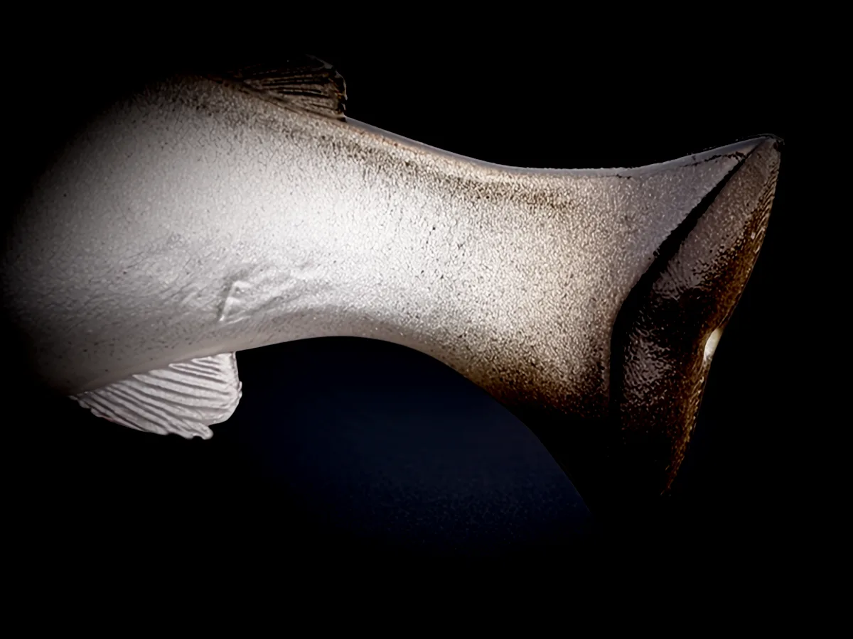 Ridge Tail du Vividus 145mm – Queue motrice souple pour une nage fluide et réaliste sans cœur intern