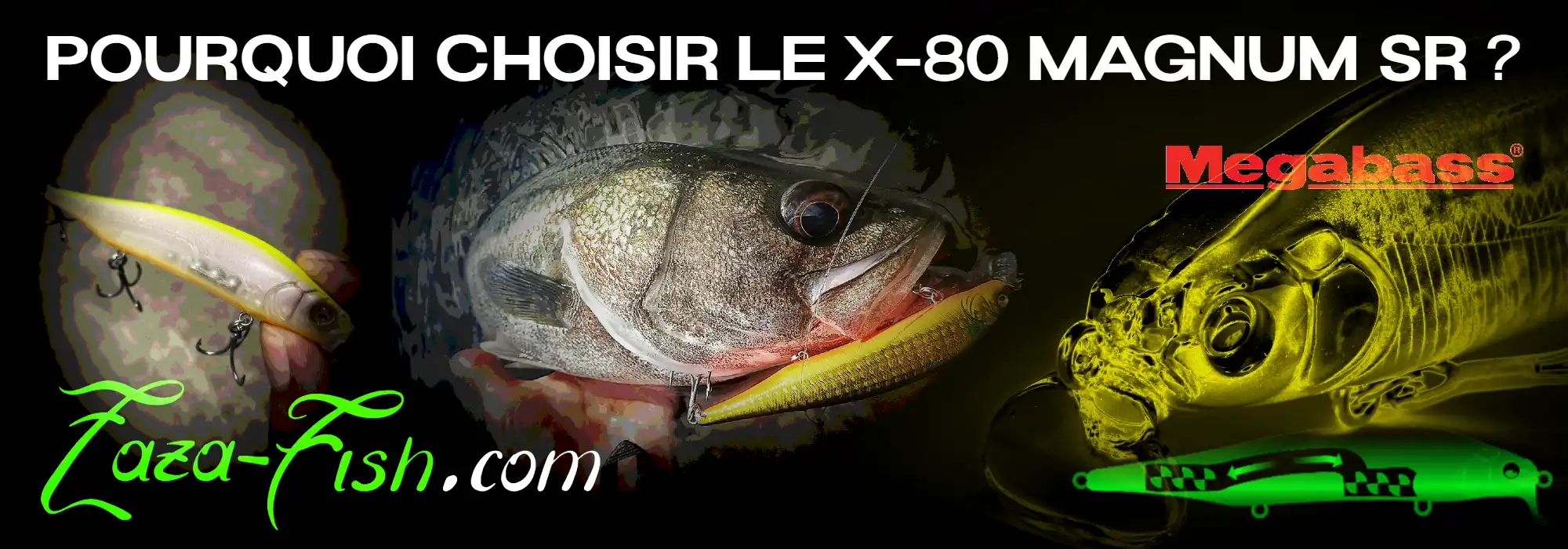 Équilibrage en tungstène du X-80 Magnum SR
