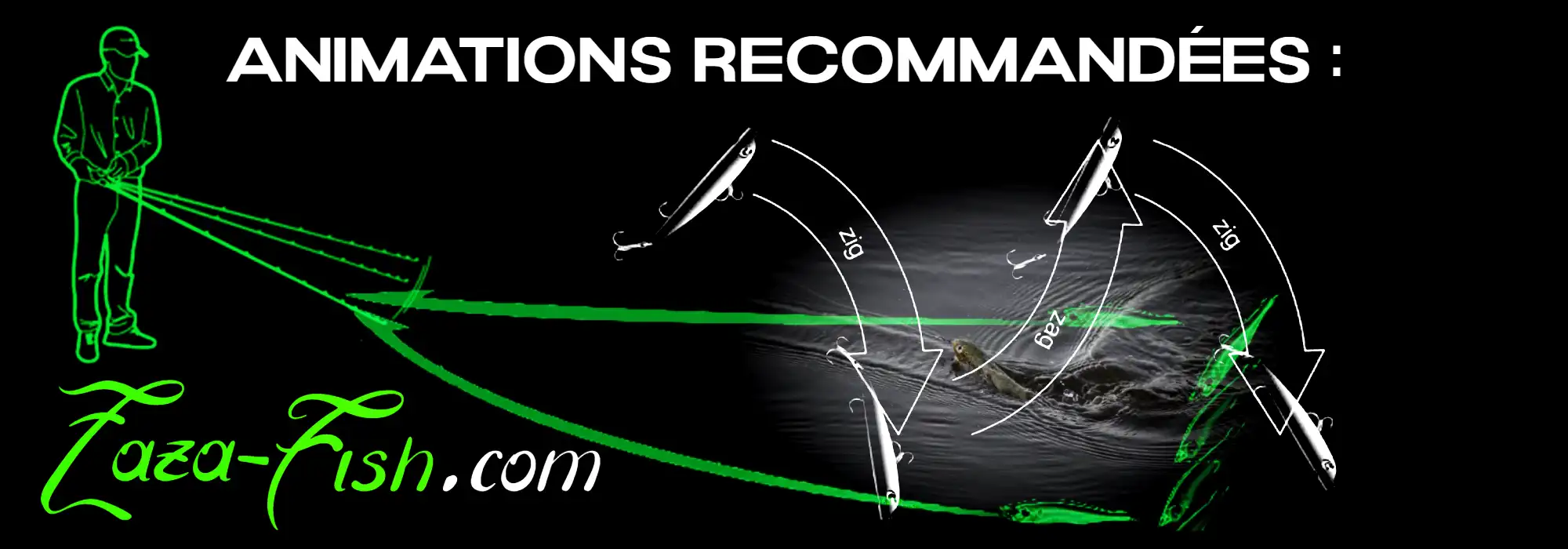 Techniques d’animation pour le BlueBlue SNECON 180S