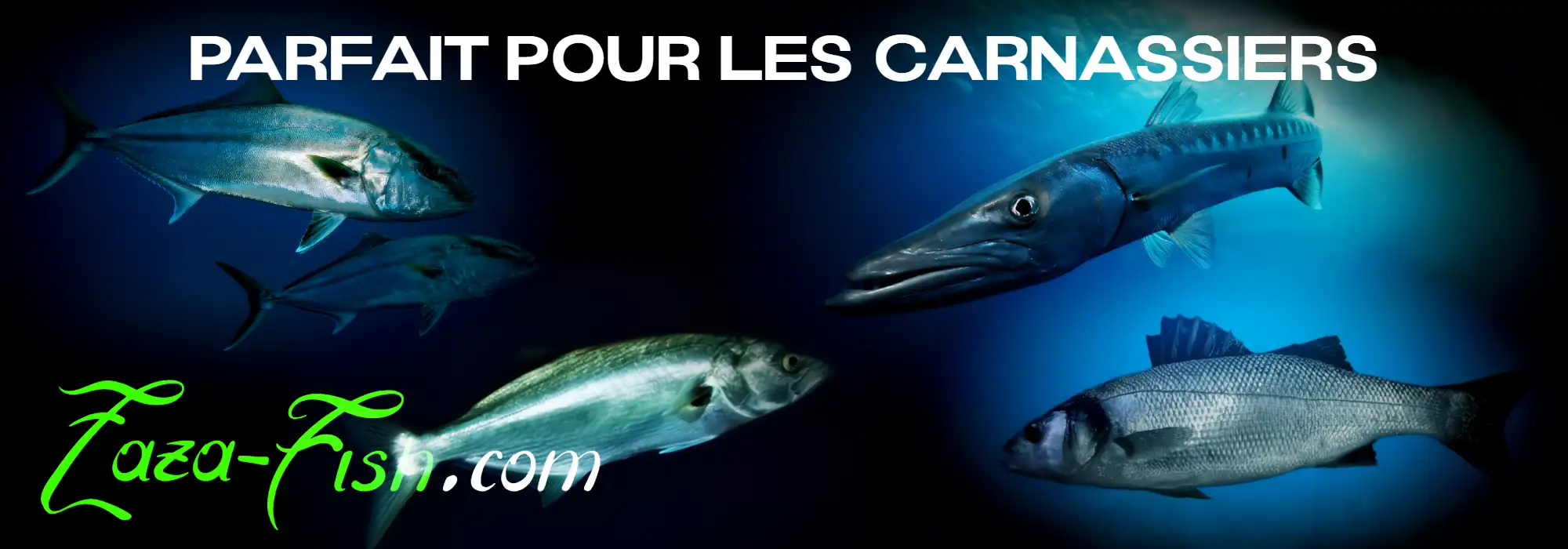 Poissons ciblés par le Megabass KIRINJI 90 : bar (loup), liche, tassergal, limon et barracuda