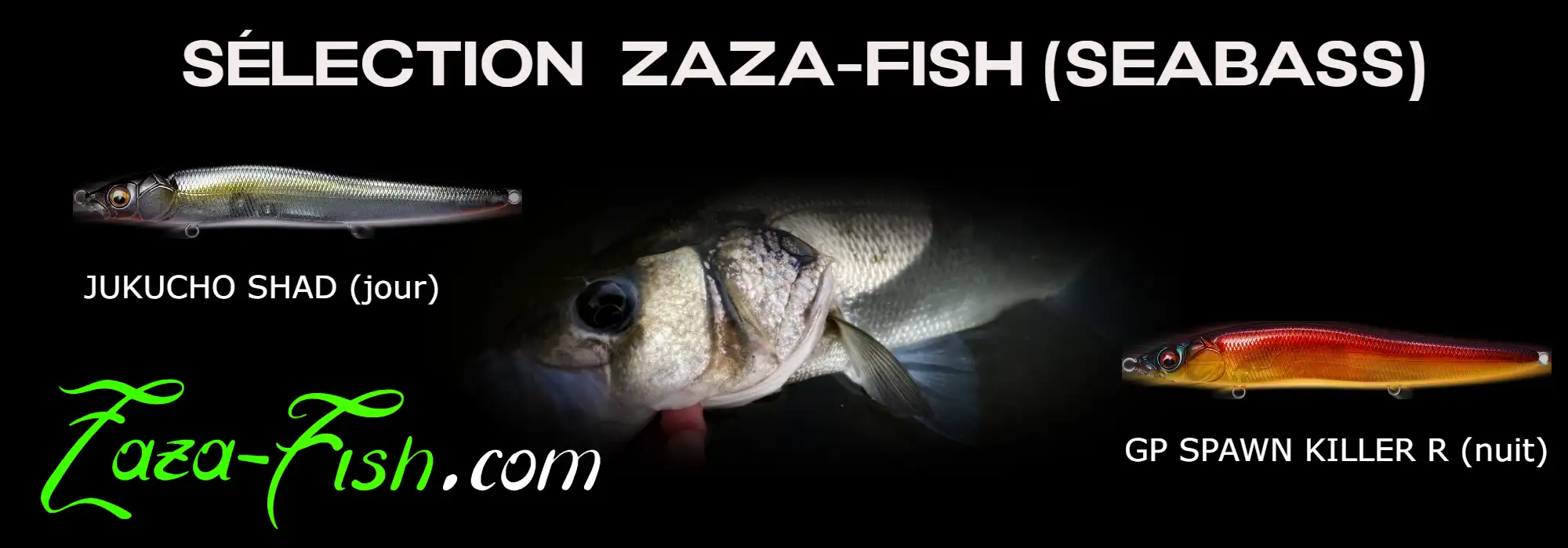 Coloris recommandés seabass avec le Vision Oneten R : JUKUCHO SHAD (jour) et GP SPAWN KILLER R nuit