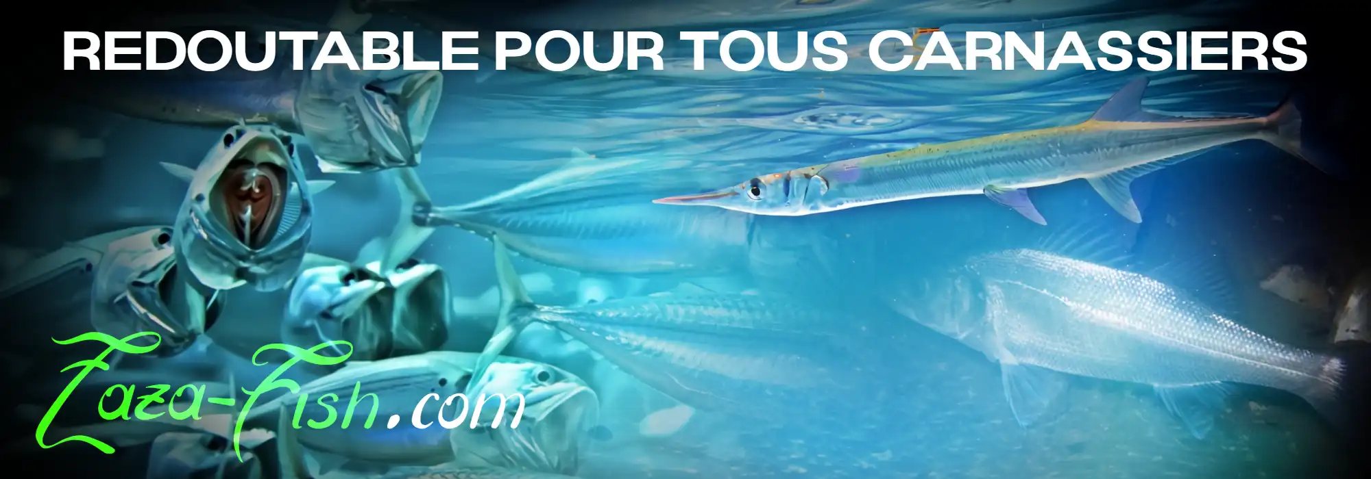 Les espèces marines ciblées efficacement par le LEVEL MINNOW Quick 72