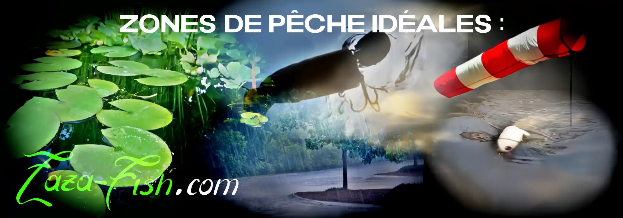 "RAID JAPAN KILLER-D en action dans différentes situations de pêche recommandées par Zazafish&q