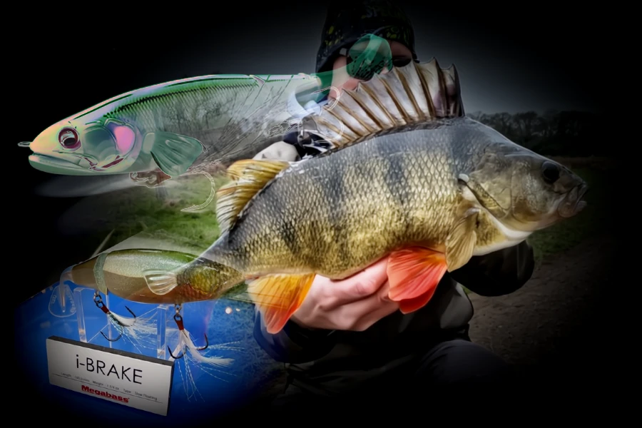 Perche en banc technique finesse I-BRAKE swimbait carnassier