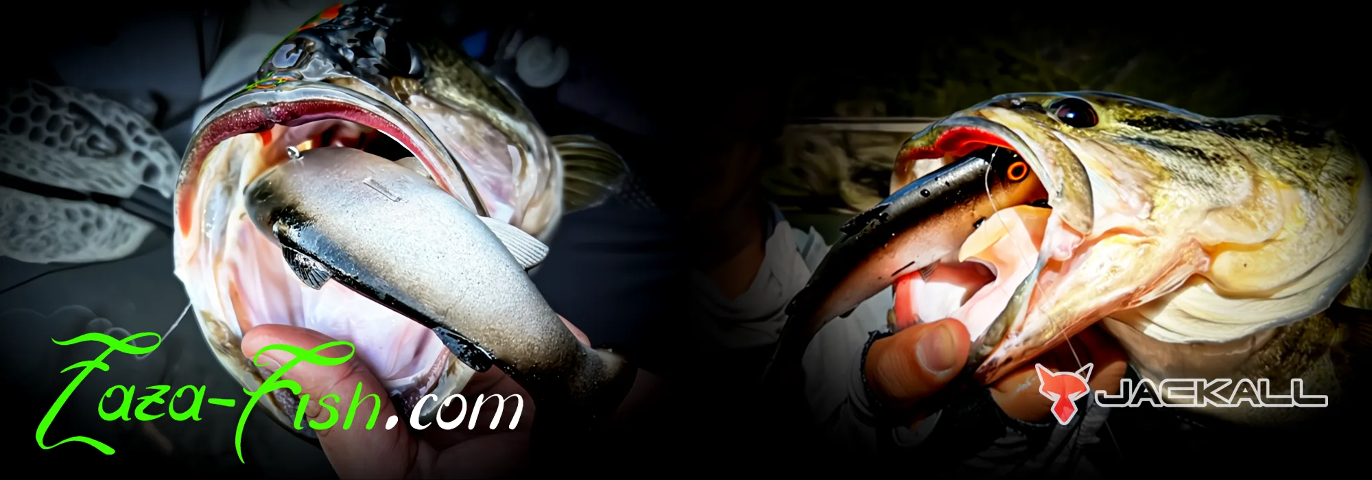 Jackall Vividus 145mm – Swimbait réaliste, flottant, modulable, design Kyoya Fujita