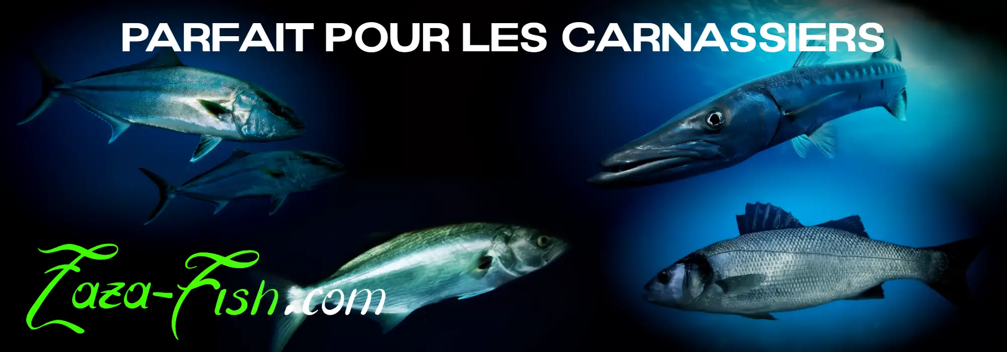 Poissons ciblés par le DUO ROUGH TRAIL MAKIFLAT 155F