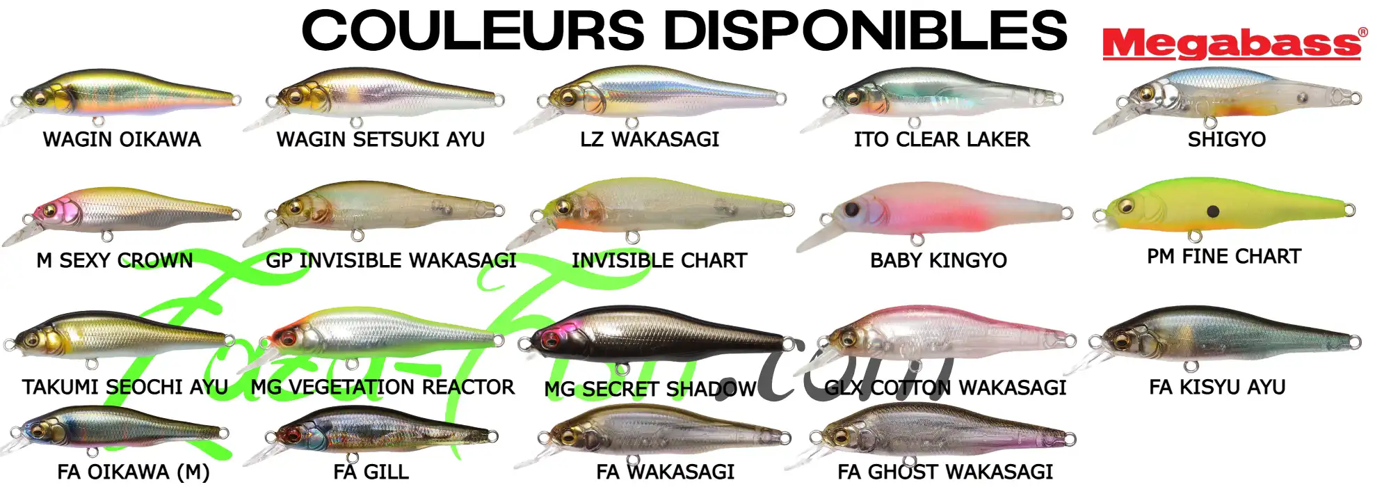 Les meilleurs coloris du Megabass X-80 Jr pour la perche et le black bass