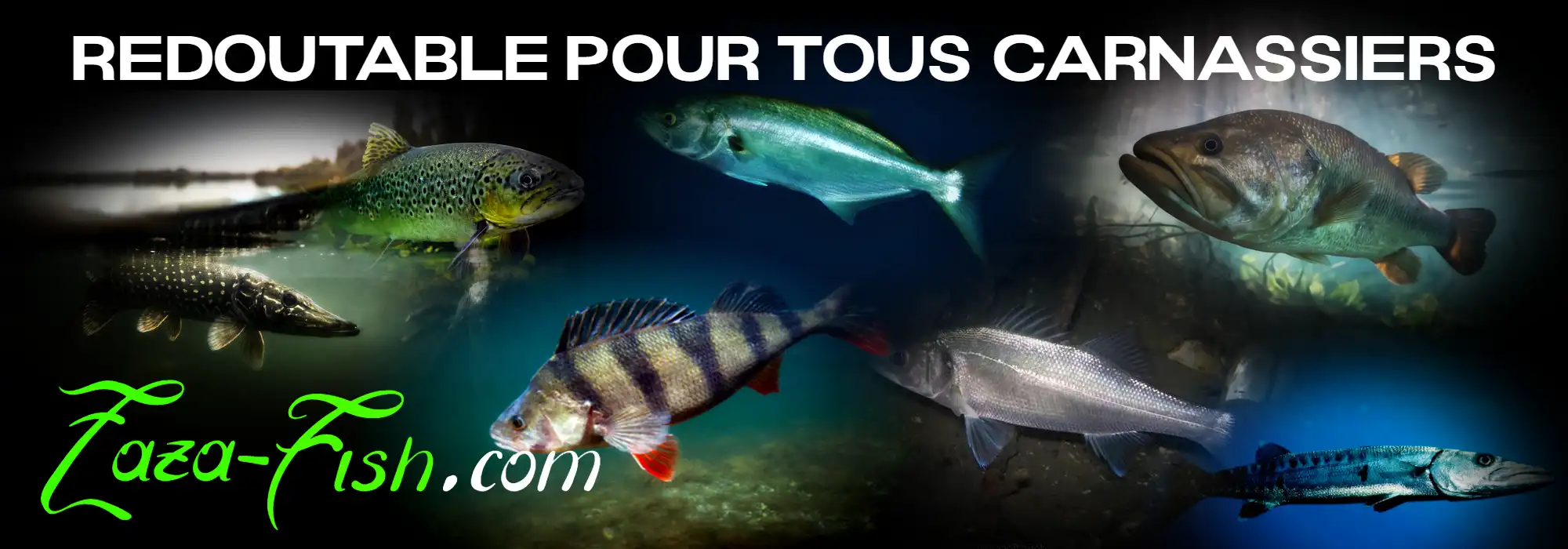 jerkbait pour la pech Poissons comme le barracuda brochet bar tassergal
