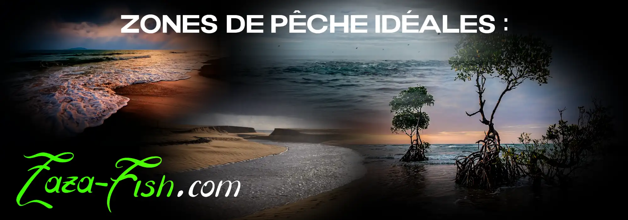 Zones idéales pour utiliser le BlueBlue SNECON 180S