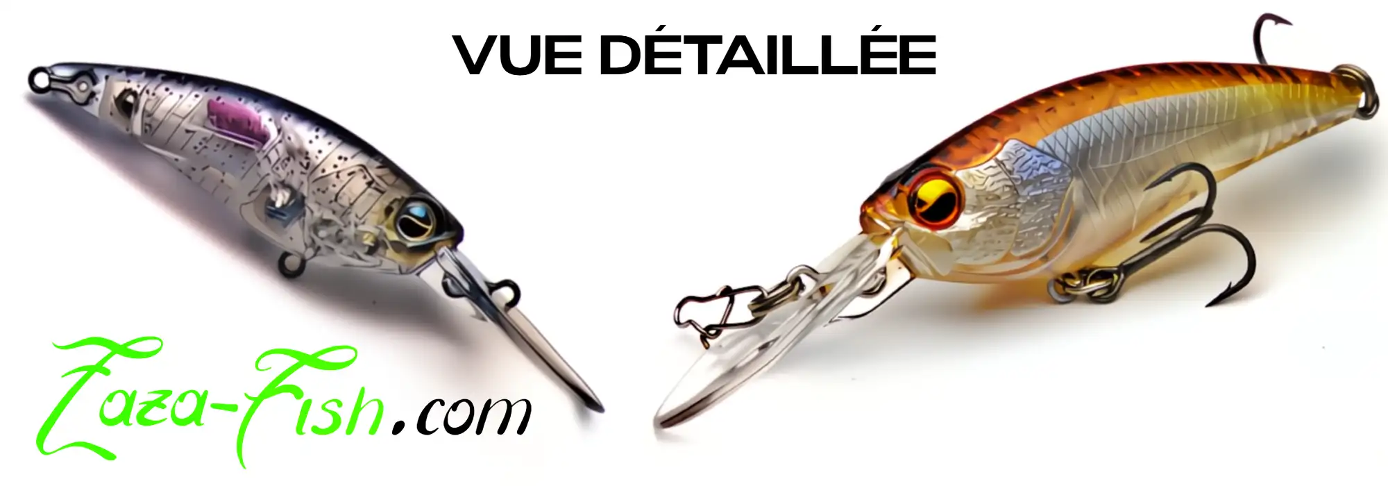 LEVEL SHAD Raid Japan - Conception technique avancée avec système de transfert de poids"