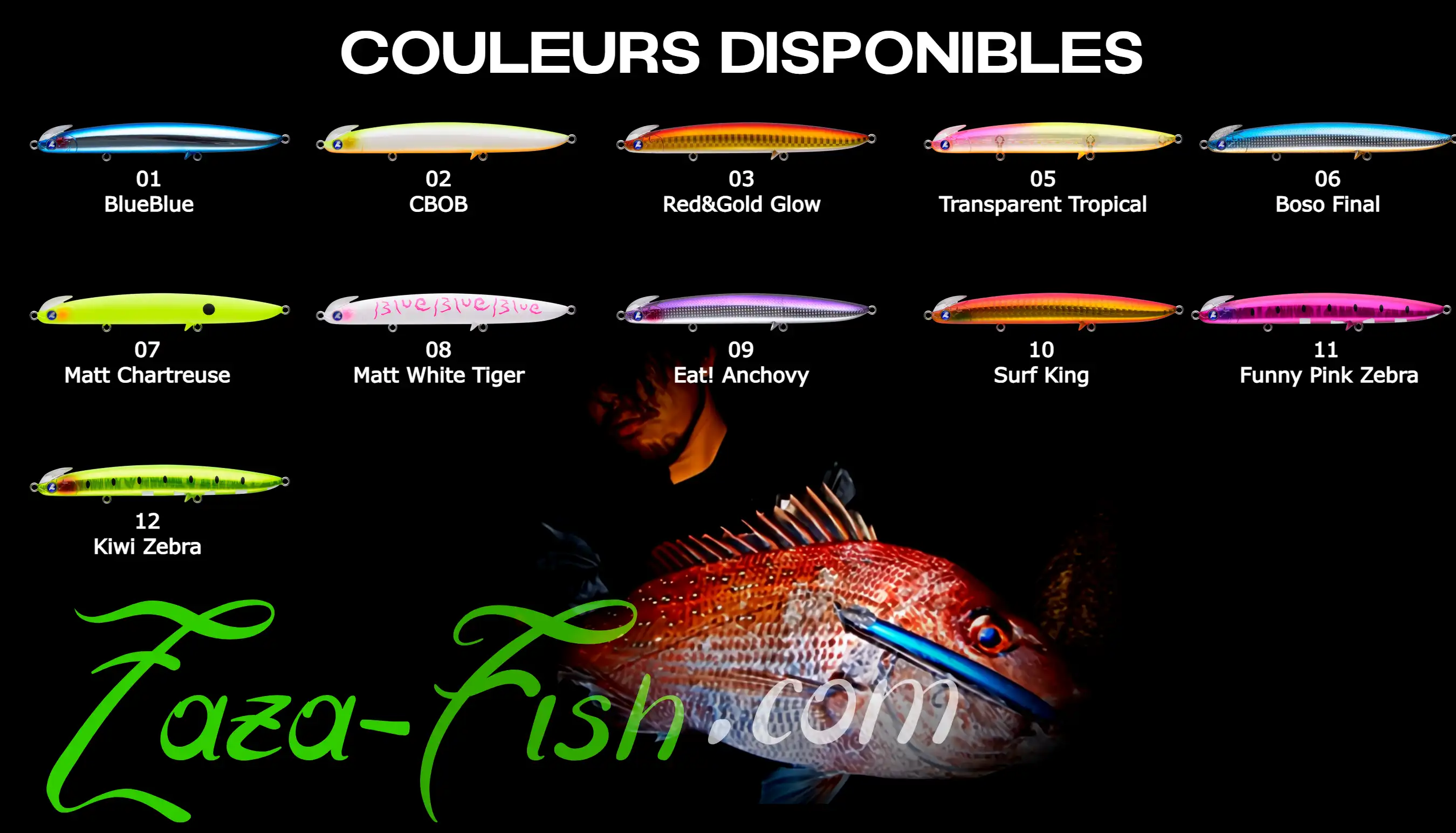 Présentation de la gamme complète des 12 coloris disponibles pour le FRID 125S