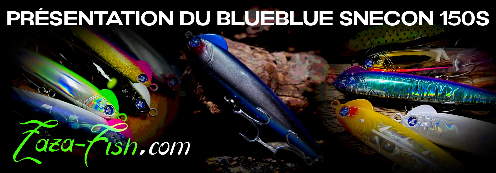 Présentation du BlueBlue SNECON 150S vue general colorie 50 Bebeto