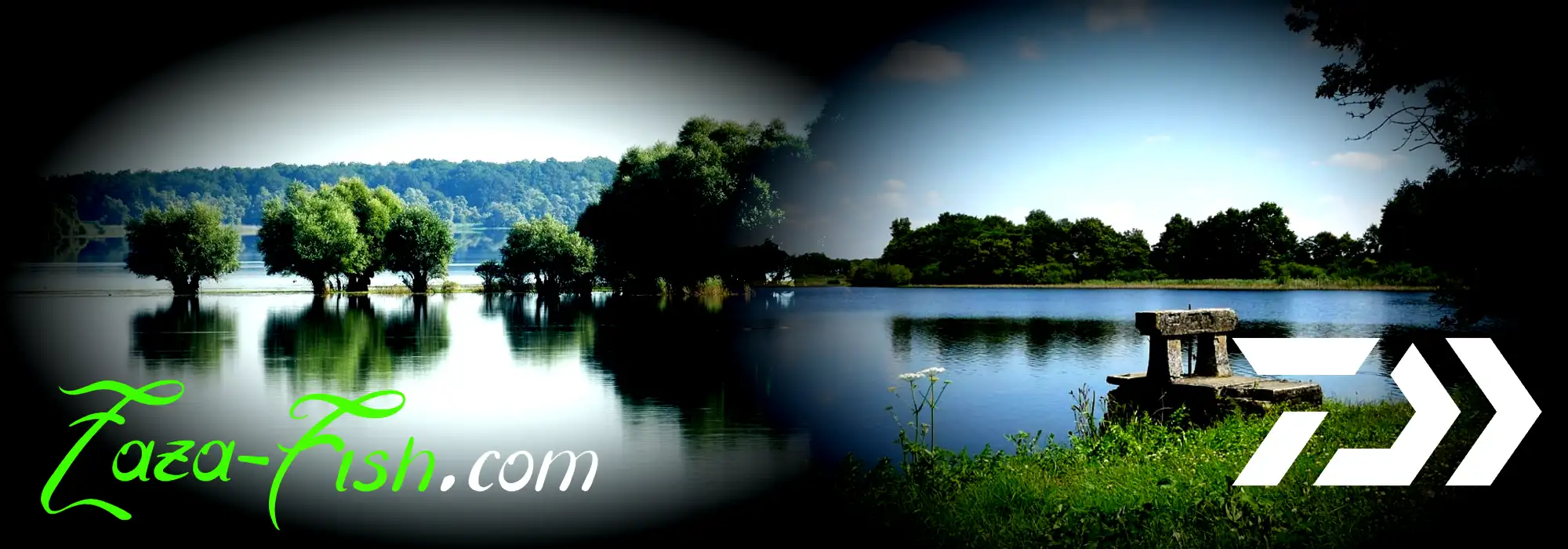 Lieux de pêche en France pour le Daiwa 25 ALPHAS BF TW 8.5R RIGHT : lac d’Orient, Dombes