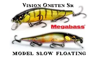 MINNOW VISION ONETEN SR : 110mm - 14gr