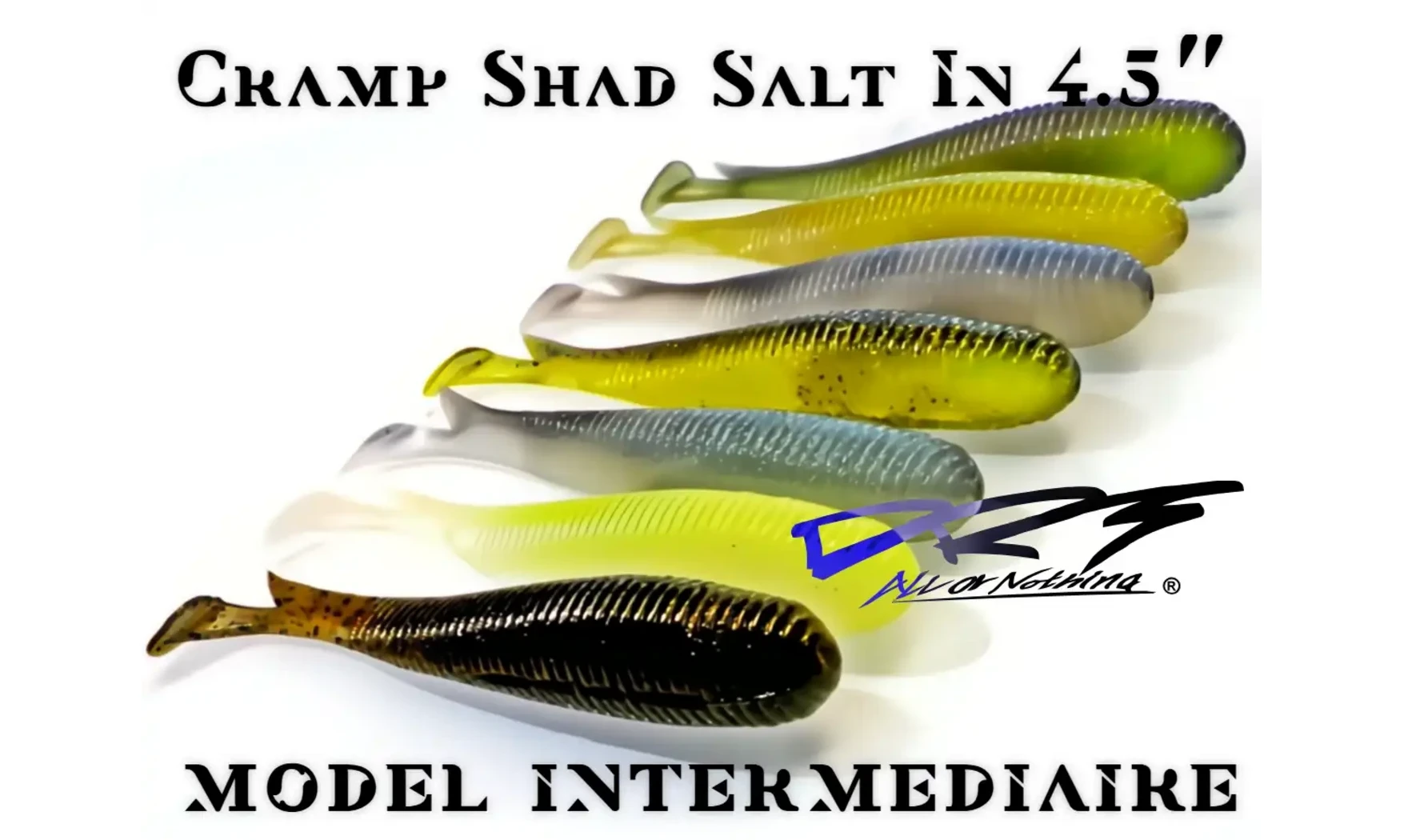 DRT CRAMP SHAD 4.5″ SALT IN: LEURRE SHAD